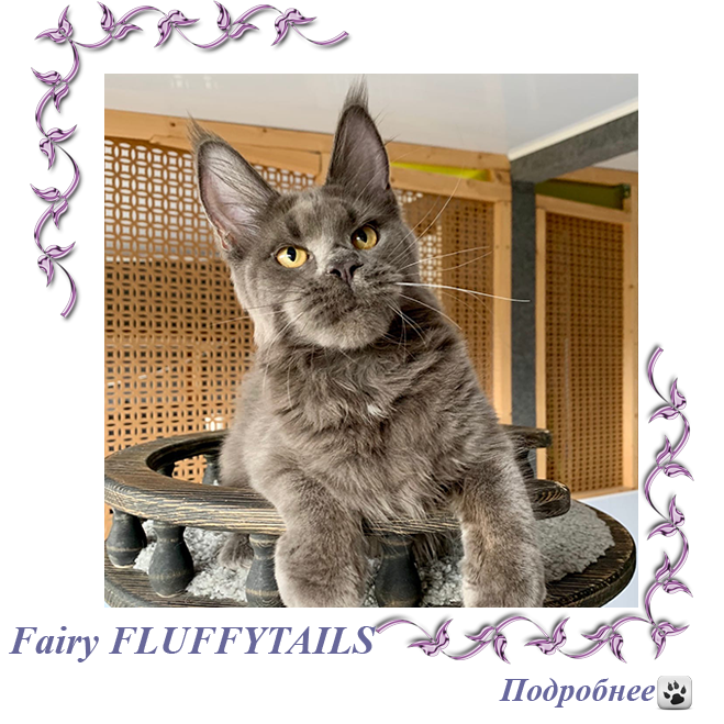 Fairy FLUFFYTAILS
